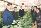 QQ截图20150717113108.png