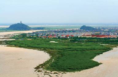 孙晓光:长江湿地.jpg
